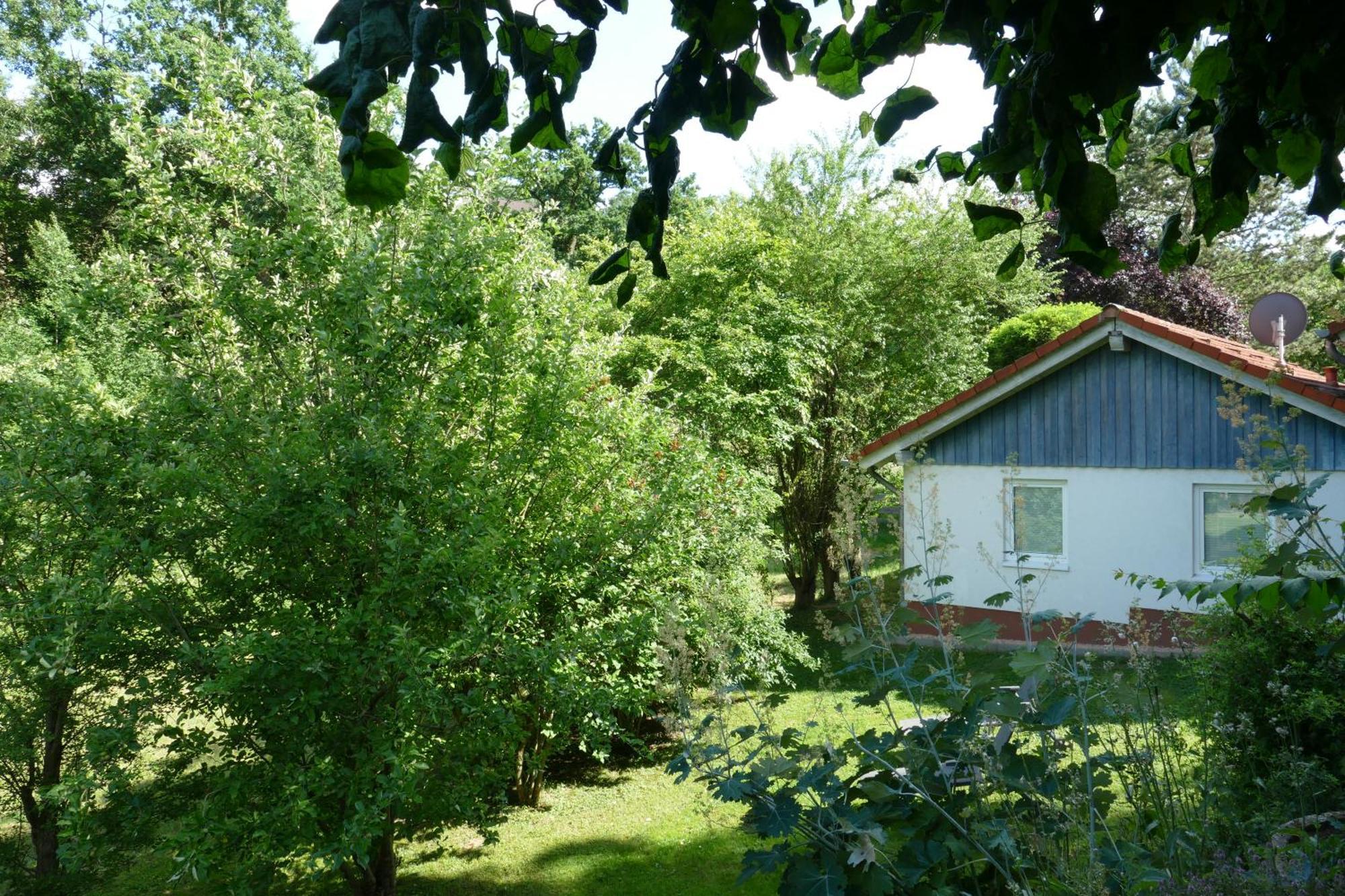 Landleben - Ferienhaus 2 Fritzlar Eksteriør bilde