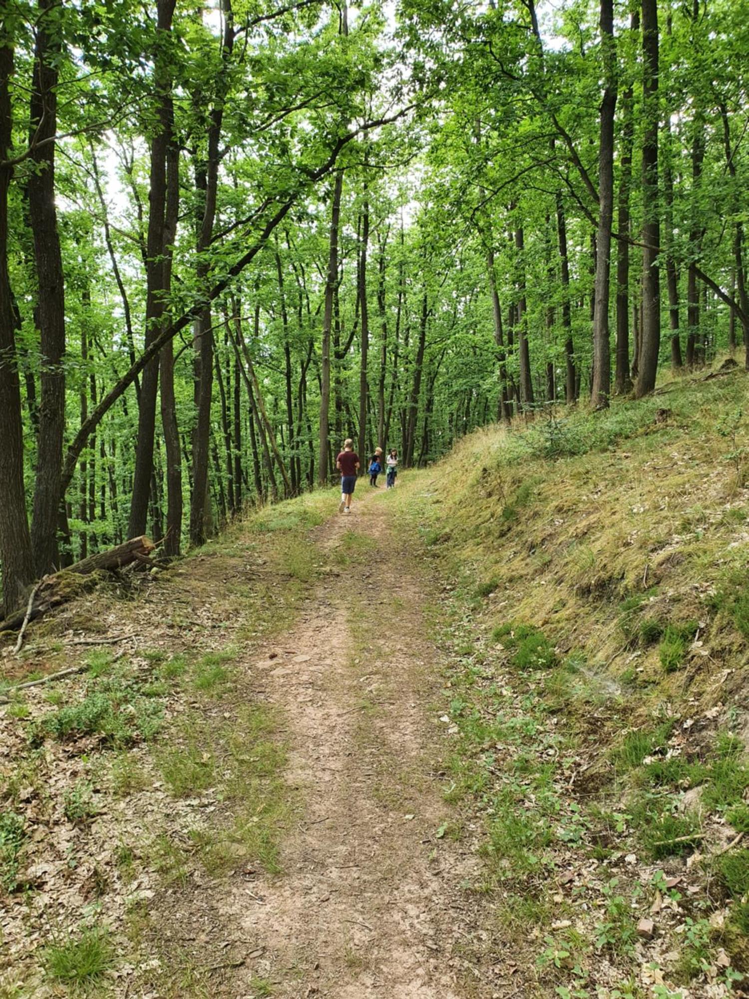 Landleben - Ferienhaus 2 Fritzlar Eksteriør bilde