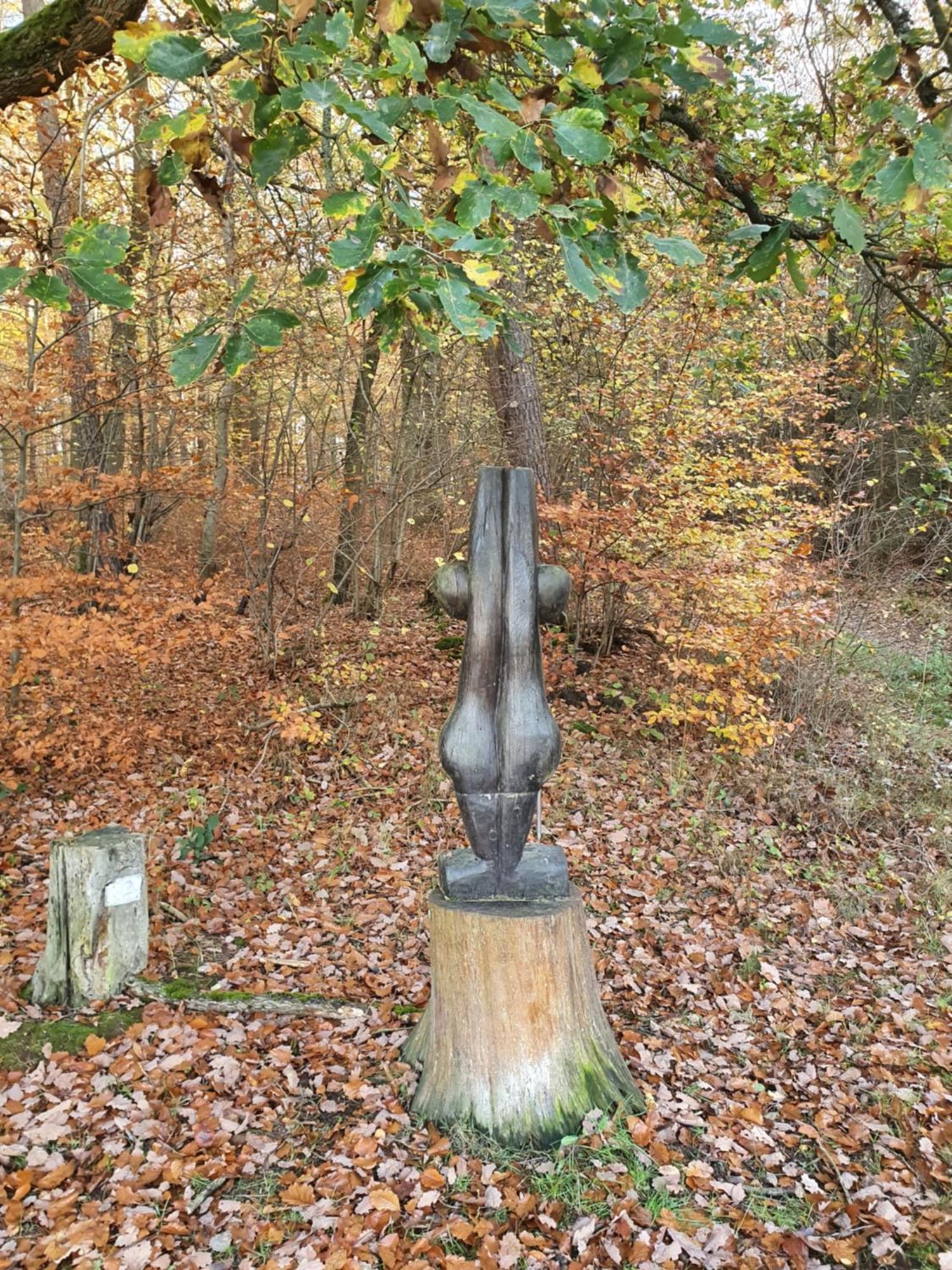 Landleben - Ferienhaus 2 Fritzlar Eksteriør bilde